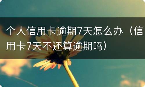 个人信用卡逾期7天怎么办（信用卡7天不还算逾期吗）