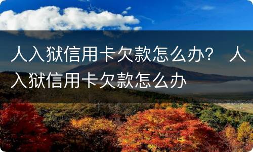 人入狱信用卡欠款怎么办？ 人入狱信用卡欠款怎么办