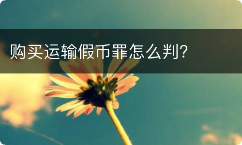 购买运输假币罪怎么判?