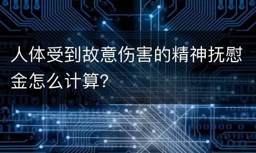 人体受到故意伤害的精神抚慰金怎么计算？