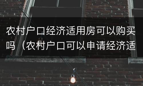 农村户口经济适用房可以购买吗（农村户口可以申请经济适用房吗）