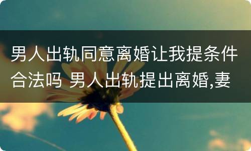 男人出轨同意离婚让我提条件合法吗 男人出轨提出离婚,妻子该答应吗