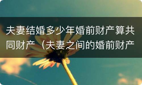 夫妻结婚多少年婚前财产算共同财产（夫妻之间的婚前财产几年后能够算共同财产）