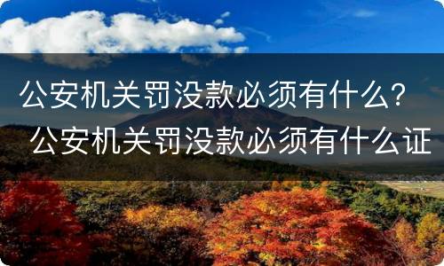 公安机关罚没款必须有什么？ 公安机关罚没款必须有什么证件