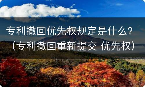 专利撤回优先权规定是什么？（专利撤回重新提交 优先权）