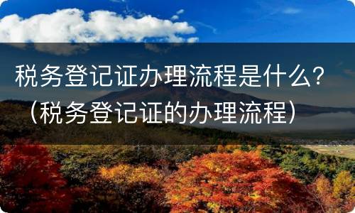 税务登记证办理流程是什么？（税务登记证的办理流程）