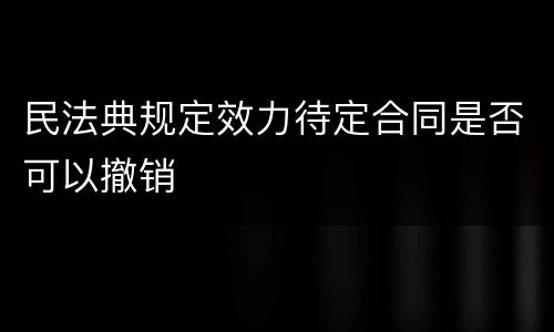 民法典规定效力待定合同是否可以撤销