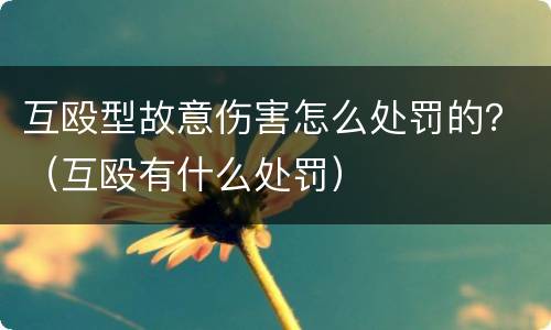 互殴型故意伤害怎么处罚的？（互殴有什么处罚）