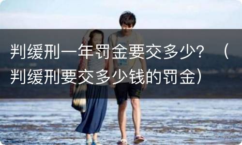 判缓刑一年罚金要交多少？（判缓刑要交多少钱的罚金）