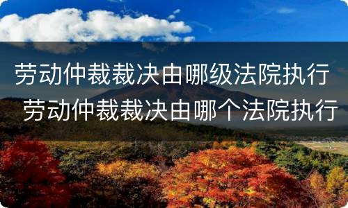 劳动仲裁裁决由哪级法院执行 劳动仲裁裁决由哪个法院执行