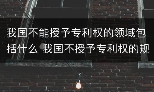 我国不能授予专利权的领域包括什么 我国不授予专利权的规定