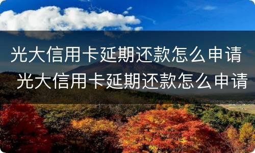 光大信用卡延期还款怎么申请 光大信用卡延期还款怎么申请不了