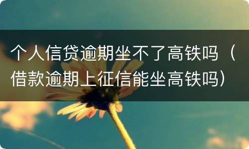 个人信贷逾期坐不了高铁吗（借款逾期上征信能坐高铁吗）