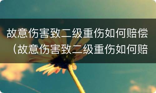 故意伤害致二级重伤如何赔偿（故意伤害致二级重伤如何赔偿多少钱）