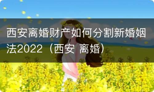 西安离婚财产如何分割新婚姻法2022（西安 离婚）