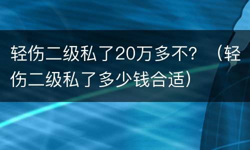 轻伤二级私了20万多不？（轻伤二级私了多少钱合适）