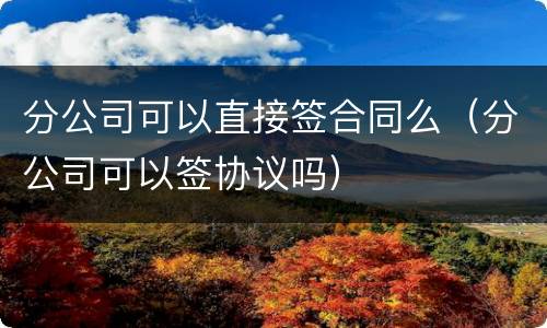 分公司可以直接签合同么（分公司可以签协议吗）