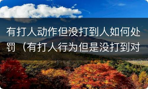 有打人动作但没打到人如何处罚（有打人行为但是没打到对方怎么处理）