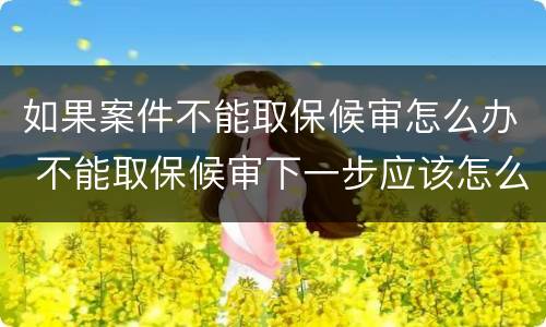 如果案件不能取保候审怎么办 不能取保候审下一步应该怎么办