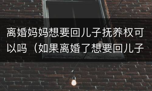 离婚妈妈想要回儿子抚养权可以吗（如果离婚了想要回儿子抚养权）