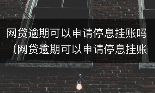 网贷逾期可以申请停息挂账吗（网贷逾期可以申请停息挂账吗怎么办）