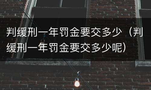 判缓刑一年罚金要交多少（判缓刑一年罚金要交多少呢）