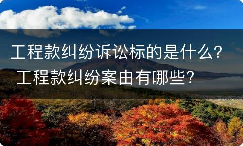工程款纠纷诉讼标的是什么？ 工程款纠纷案由有哪些?