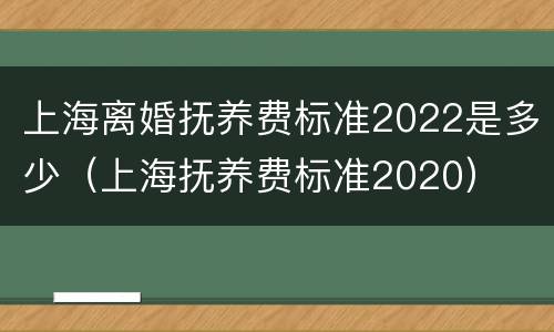 上海离婚抚养费标准2022是多少（上海抚养费标准2020）