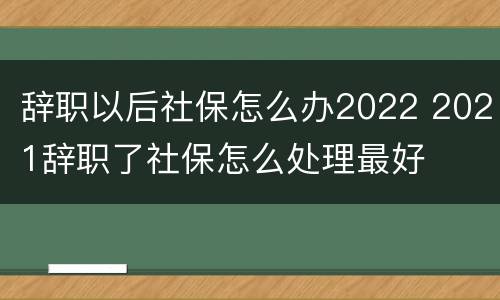 辞职以后社保怎么办2022 2021辞职了社保怎么处理最好