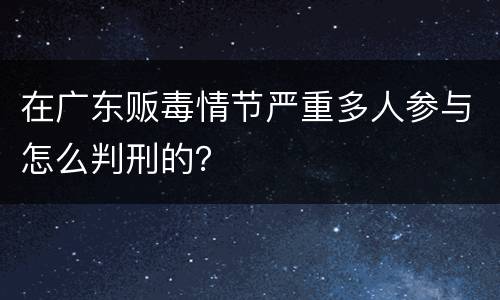 在广东贩毒情节严重多人参与怎么判刑的？