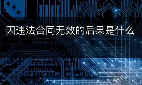 因违法合同无效的后果是什么