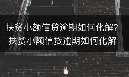 扶贫小额信贷逾期如何化解？ 扶贫小额信贷逾期如何化解