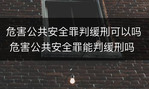 危害公共安全罪判缓刑可以吗 危害公共安全罪能判缓刑吗