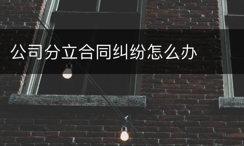 公司分立合同纠纷怎么办