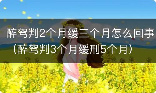 醉驾判2个月缓三个月怎么回事（醉驾判3个月缓刑5个月）