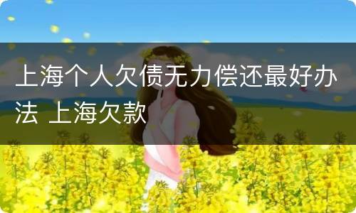 上海个人欠债无力偿还最好办法 上海欠款