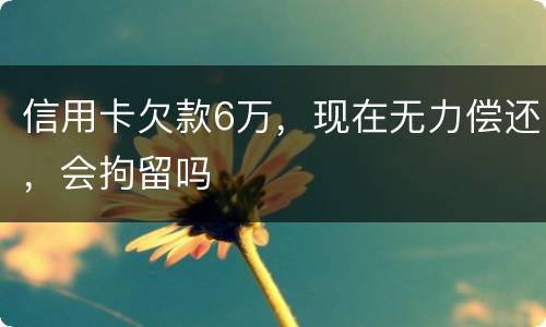 信用卡欠款6万，现在无力偿还，会拘留吗