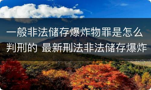 一般非法储存爆炸物罪是怎么判刑的 最新刑法非法储存爆炸物罪