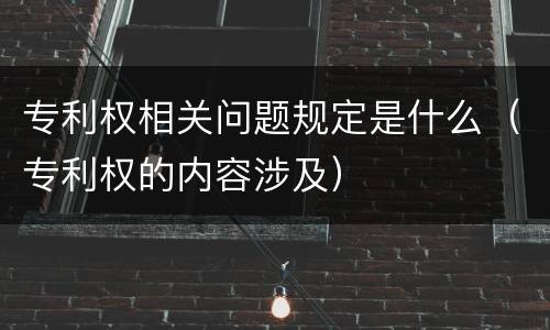 专利权相关问题规定是什么（专利权的内容涉及）