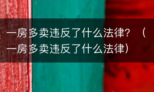 一房多卖违反了什么法律？（一房多卖违反了什么法律）