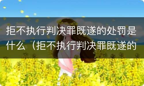 拒不执行判决罪既遂的处罚是什么（拒不执行判决罪既遂的处罚是什么意思）
