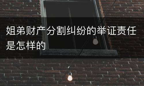 姐弟财产分割纠纷的举证责任是怎样的