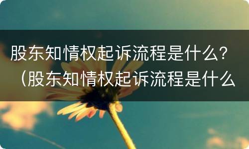 股东知情权起诉流程是什么？（股东知情权起诉流程是什么样的）