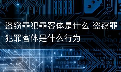 盗窃罪犯罪客体是什么 盗窃罪犯罪客体是什么行为