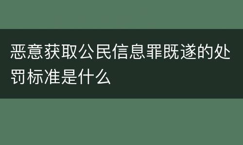 恶意获取公民信息罪既遂的处罚标准是什么