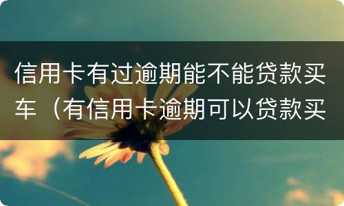 信用卡有过逾期能不能贷款买车（有信用卡逾期可以贷款买车吗）