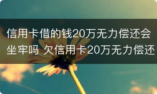 信用卡借的钱20万无力偿还会坐牢吗 欠信用卡20万无力偿还会坐牢吗?
