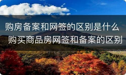 购房备案和网签的区别是什么 购买商品房网签和备案的区别