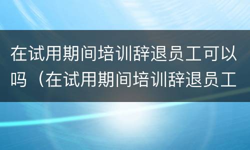 在试用期间培训辞退员工可以吗（在试用期间培训辞退员工可以吗）