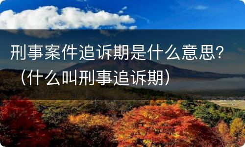 刑事案件追诉期是什么意思？（什么叫刑事追诉期）